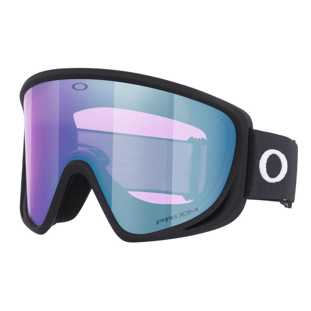 Oakley MONT SCAPE L Goggles