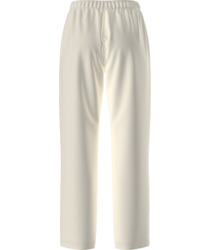 TNF EVOLUTION SIMPLE DOME Women's Classic Pants