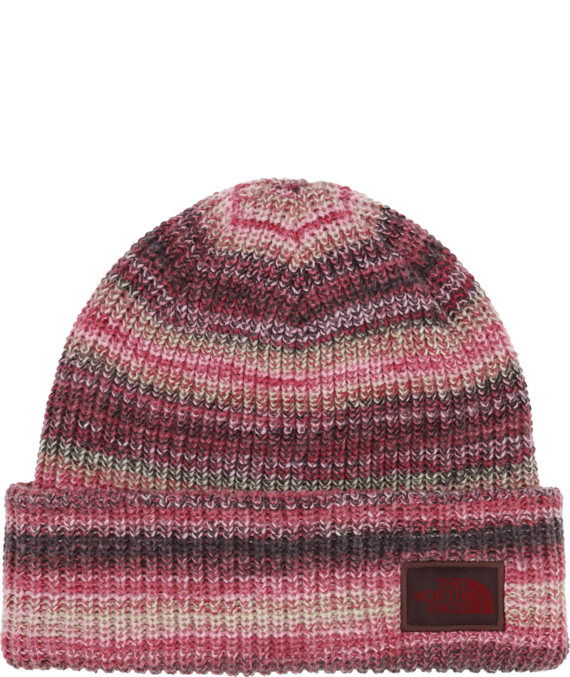 TNF SALTY LINED Beanie