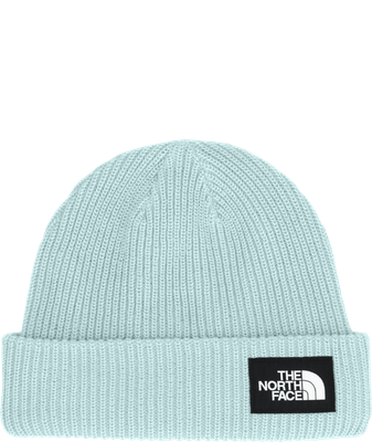 TNF SALTY LINED Beanie