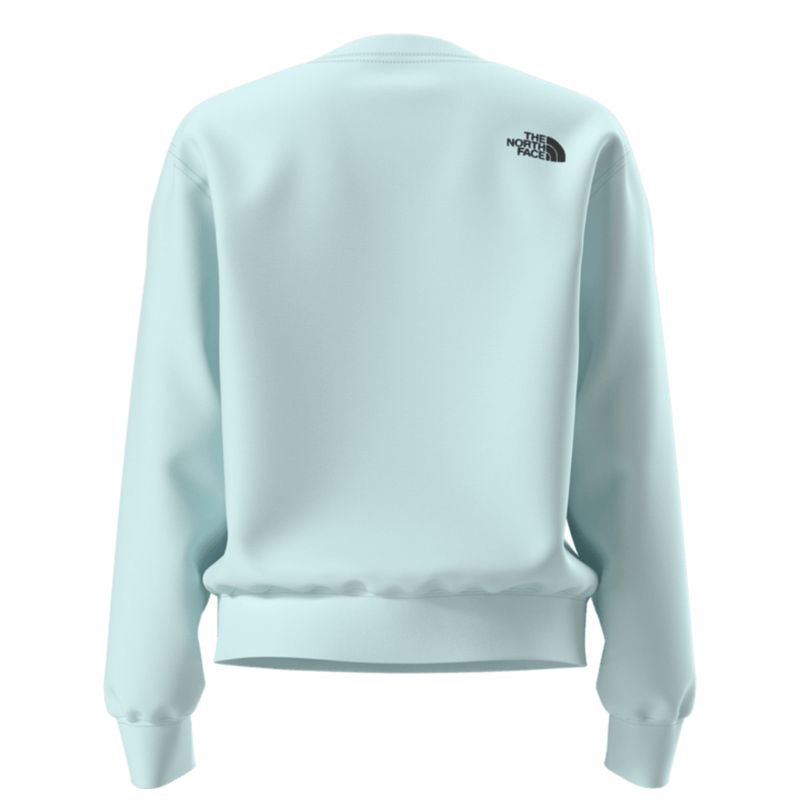 TNF ESSENTIAL SKI EMBRO Women's Crewneck