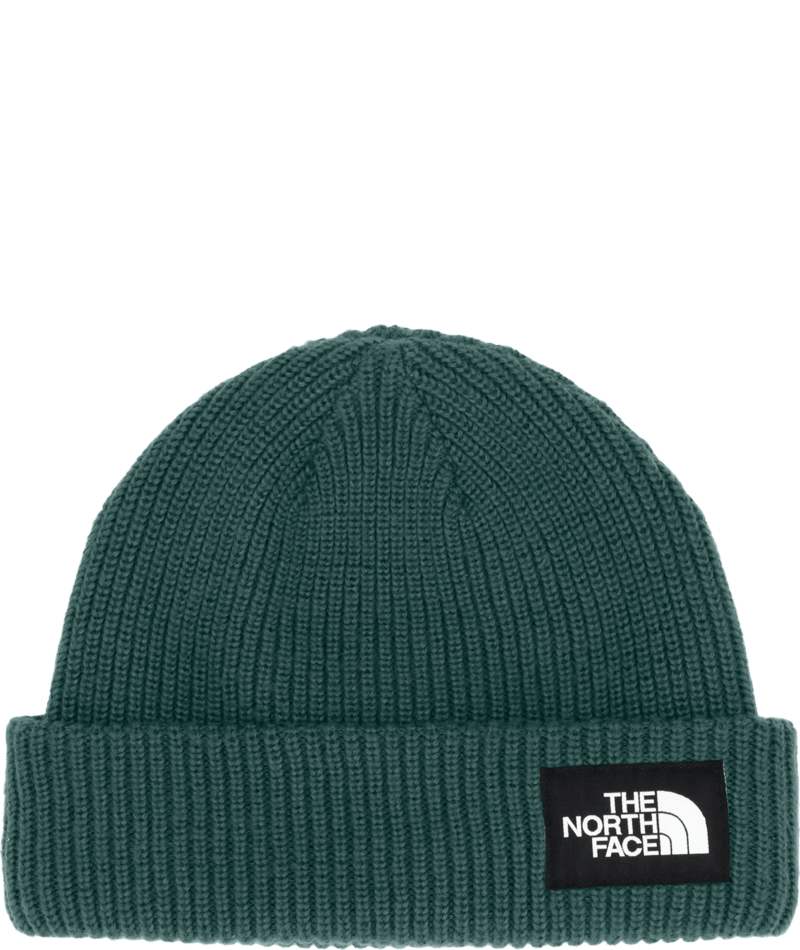 TNF SALTY LINE Beanie