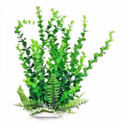 AQUATOP 20 Inch Bacopa-like Aquarium Plant with Weighted Base PD-BH35