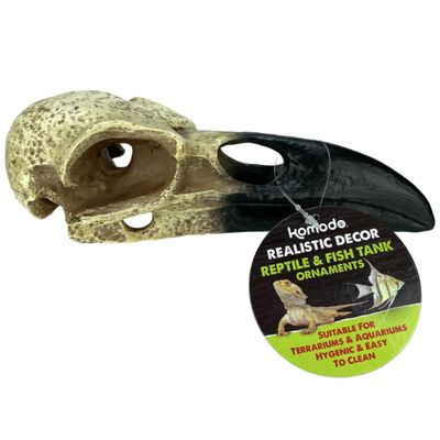 Komodo Raven Skull  Terrarium or Aquarium Decor for Fish or Reptiles  8 inches