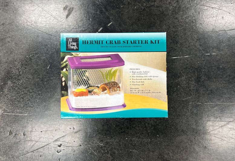Hermit crab habitat