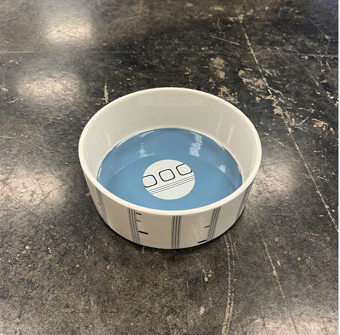 Rayo Pet Bowl