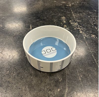 Rayo Pet Bowl