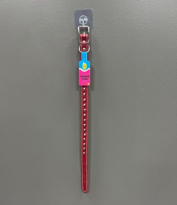 Studded Collar