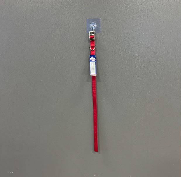 20&quot; Red Collar