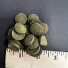 PFM Algae Discs