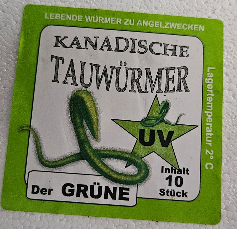 UV Tauwürmer 10er Styro-Box