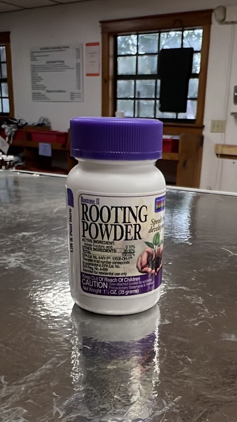 Bonide Rooting Powder
