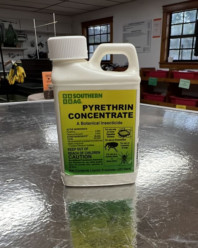Pyrethrin Concentrate - 8 oz