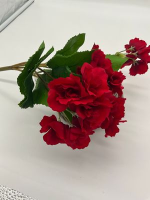 AV floral