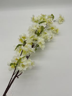 Apple Blossom flowers