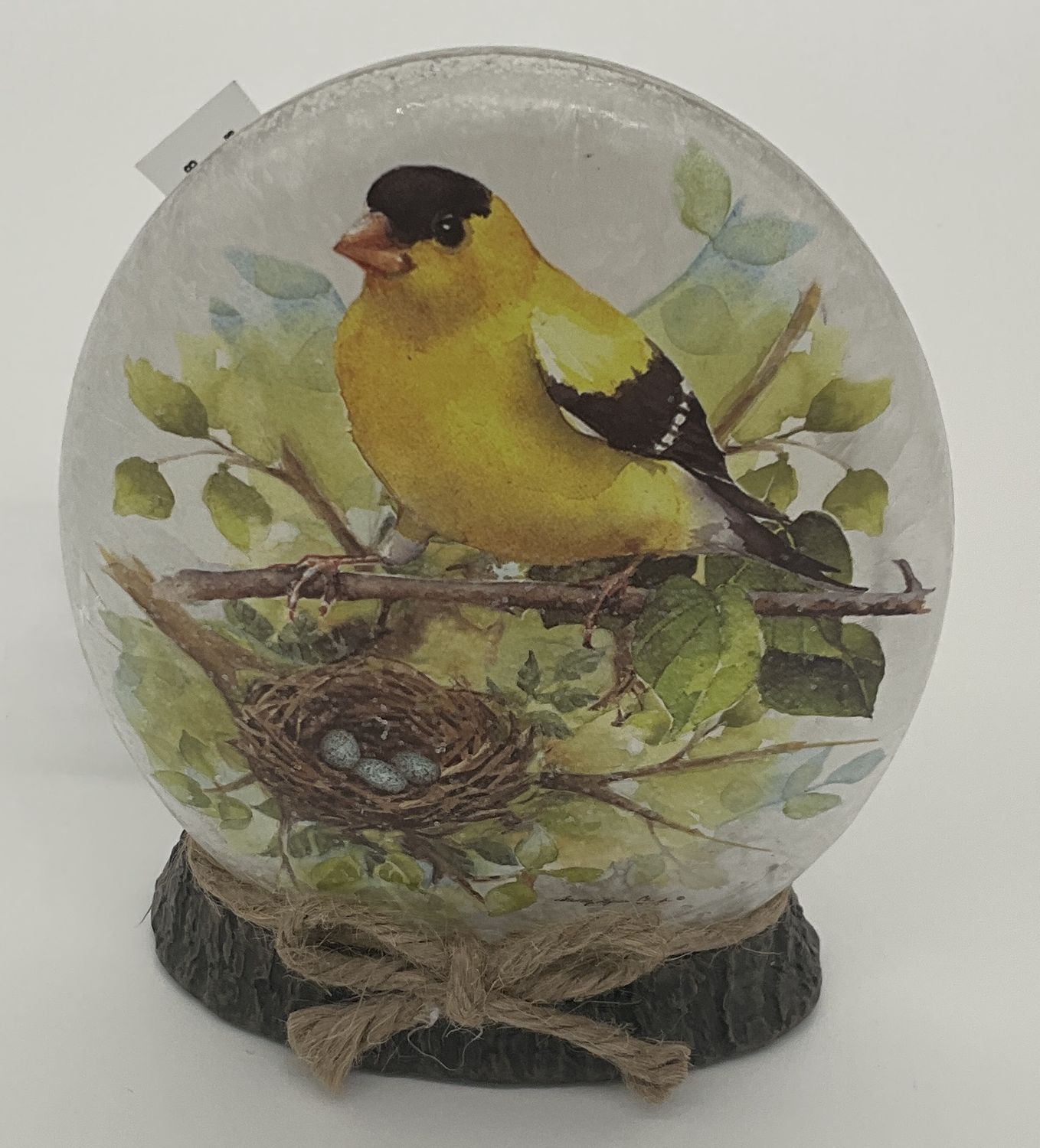 bird bluebird/goldfinch ovaL FROSTED LAMP