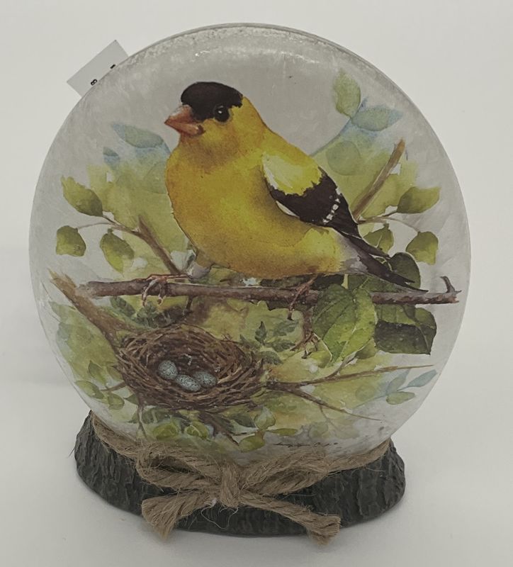 bird bluebird/goldfinch ovaL FROSTED LAMP