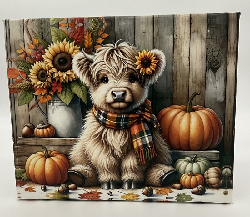 highlander cow w/pumpkin canvas