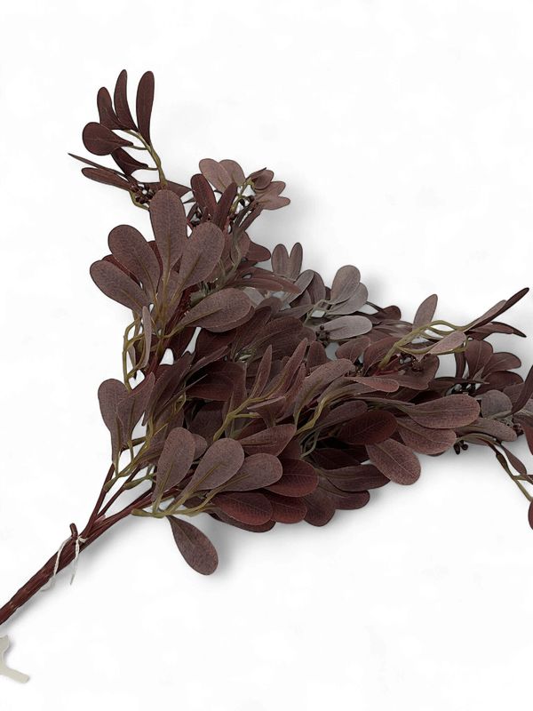 Burgundy  Plum Colored Leafy Bunch