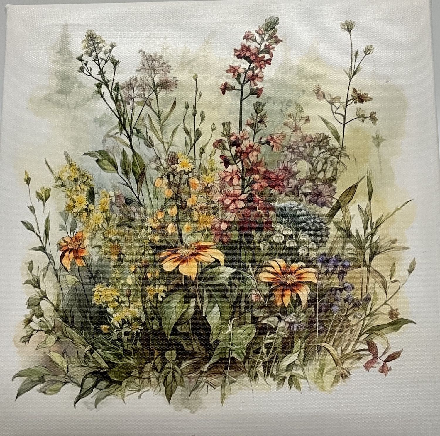 Wildflower Muted Color Canvas