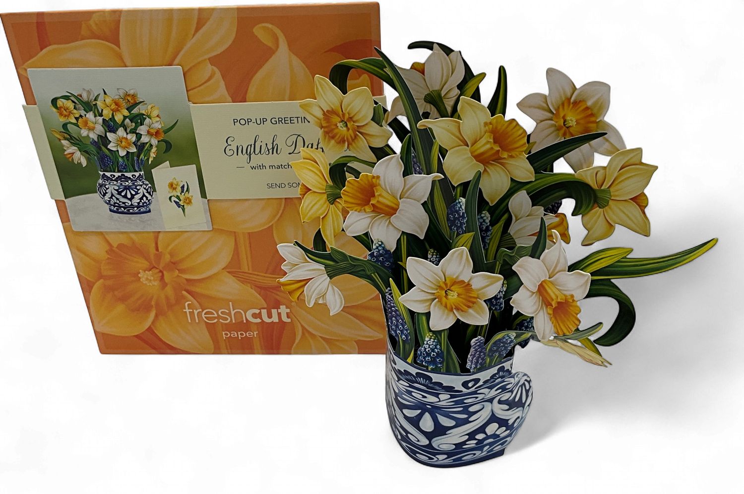 ENGLISH DAFFODILS SM POP UP CARD