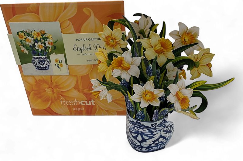 ENGLISH DAFFODILS SM POP UP CARD