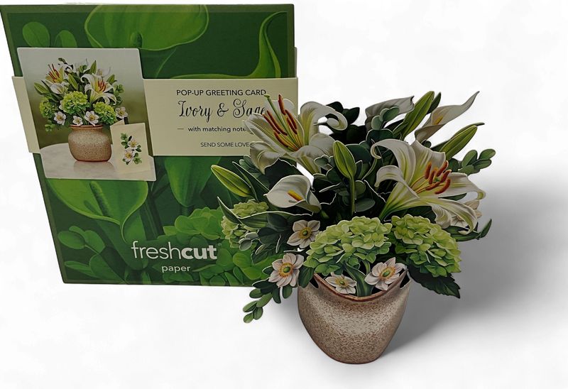 IVORY &amp; SAGE POP UP CARD