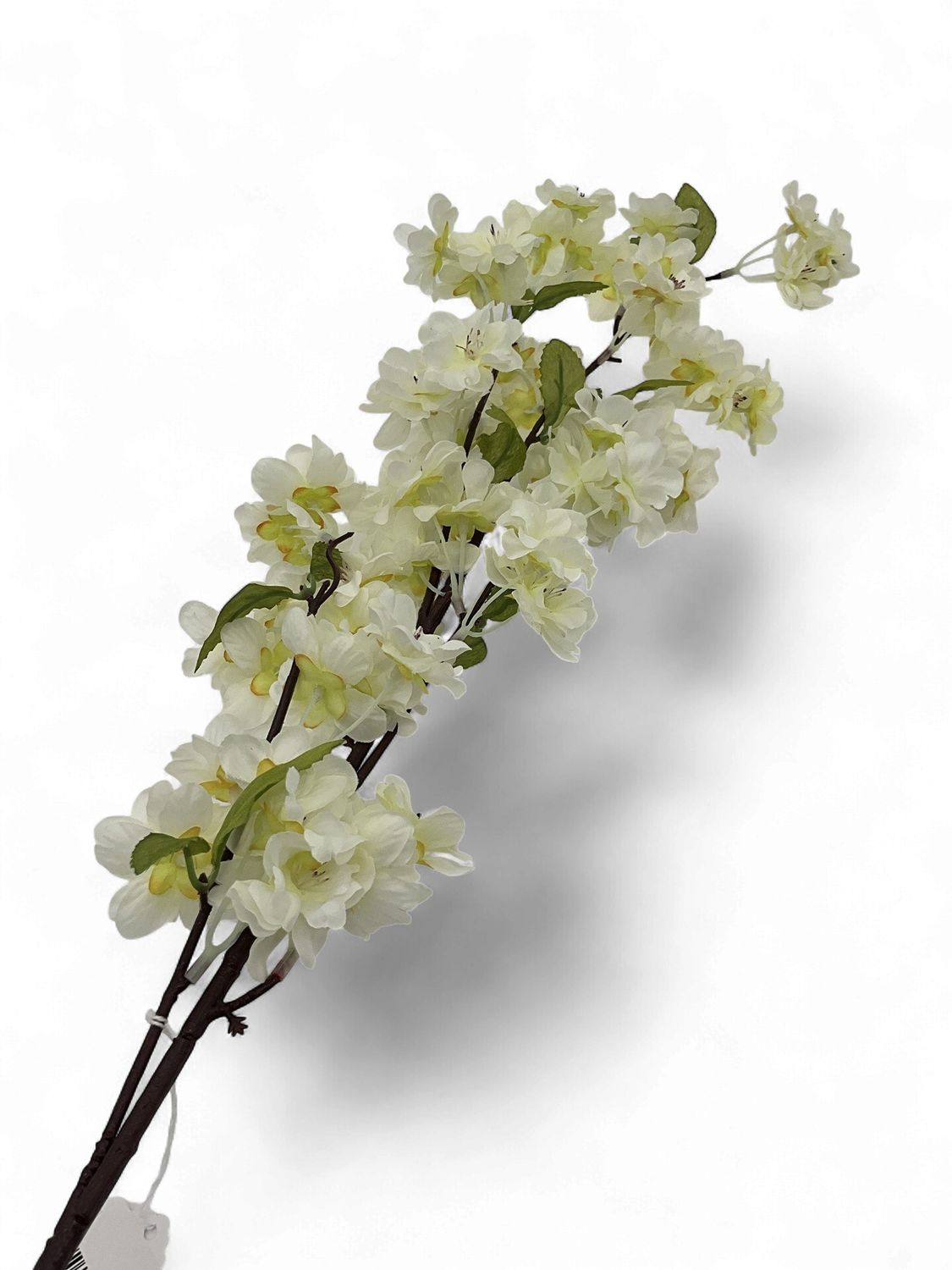 Apple Blossoms Stems