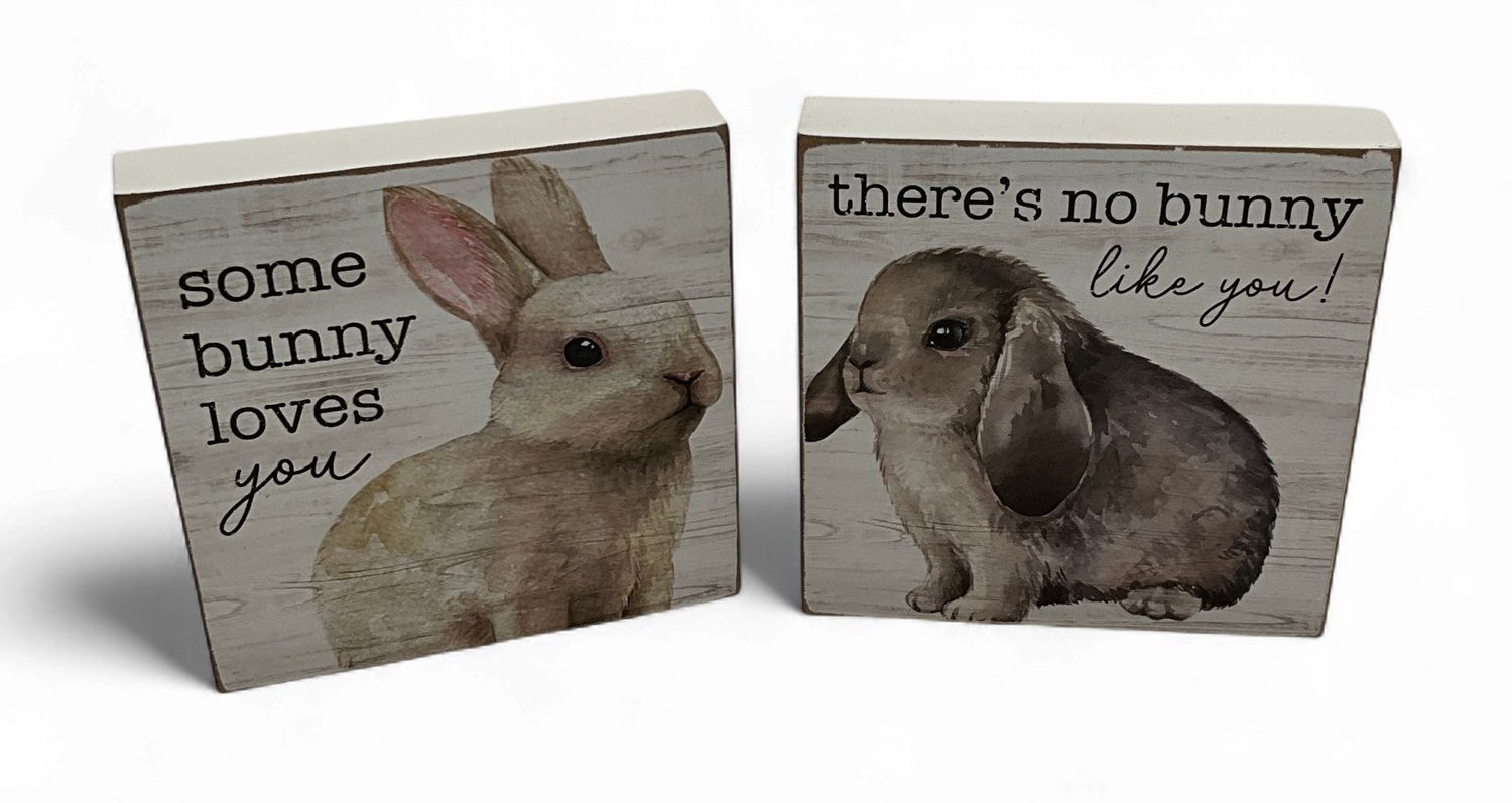 Bunny inspirational standup wood