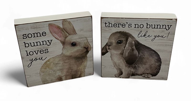 Bunny inspirational standup wood