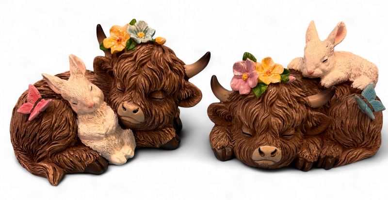 Highlander with Bunny