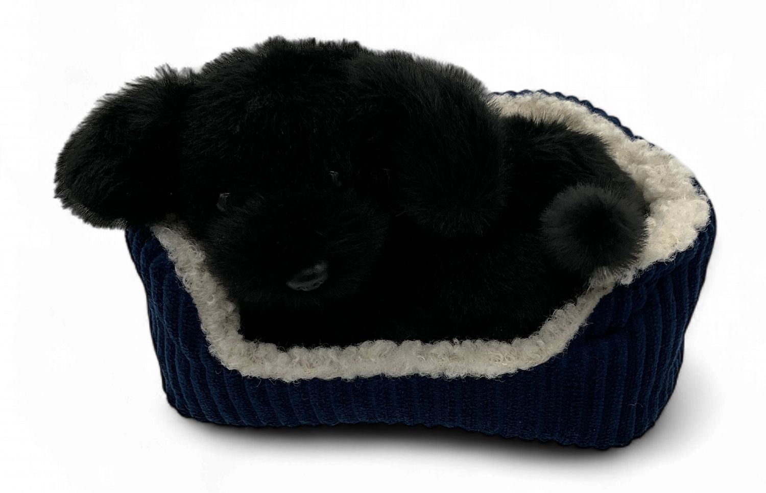 Puppy in basket fabric
