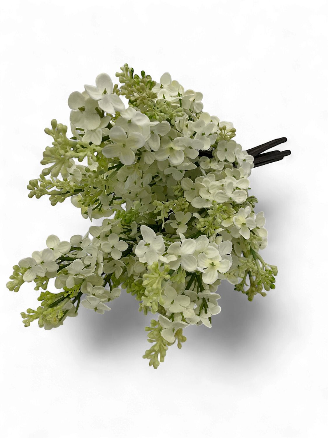 Lilac White Bush