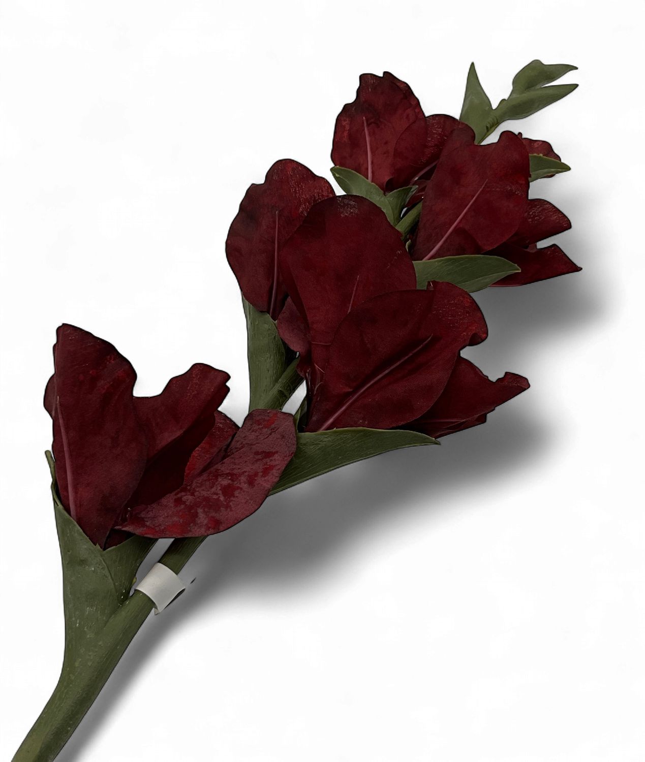 Burgundy Real Touch Gladiolus