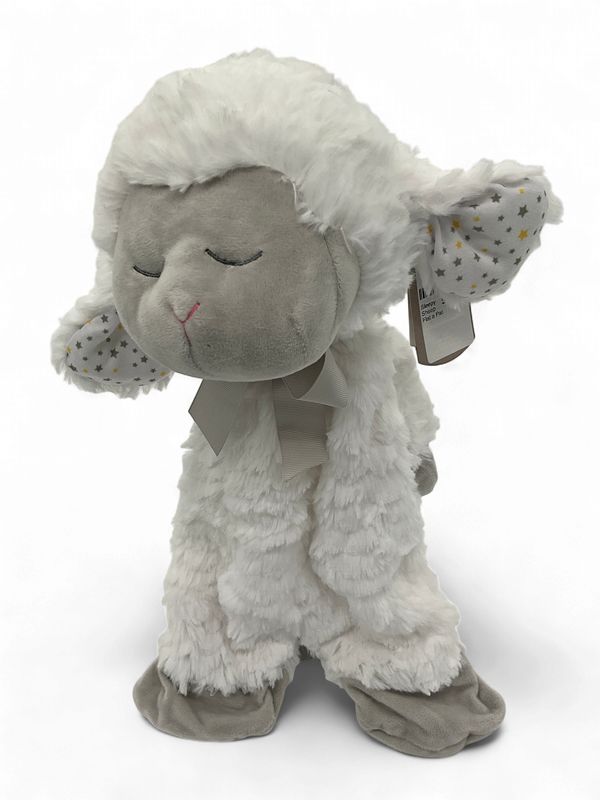 Sleepy Sheep Flat a Pat