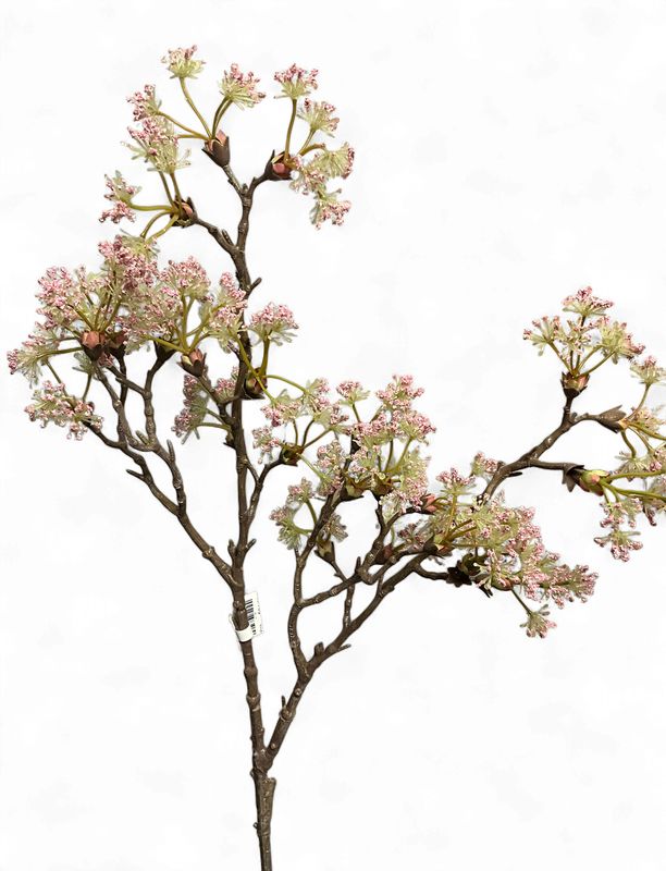 Pink Queen Anne Lace Brunch