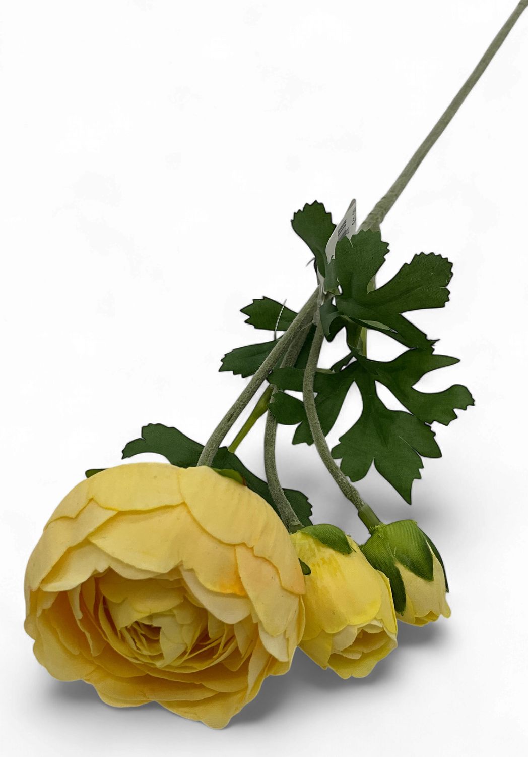Ranunculus Stems of Yellow in Real Touch