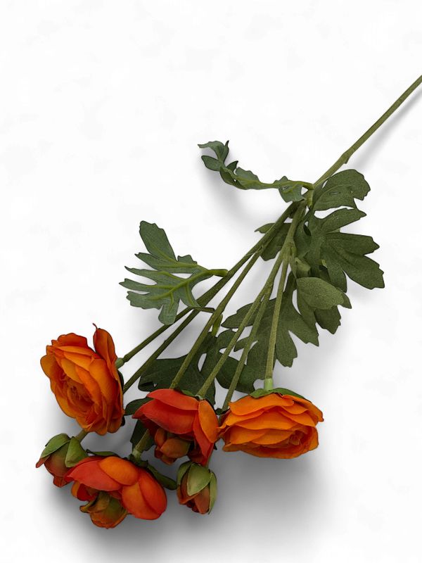 Orange Ranunculus  Spray