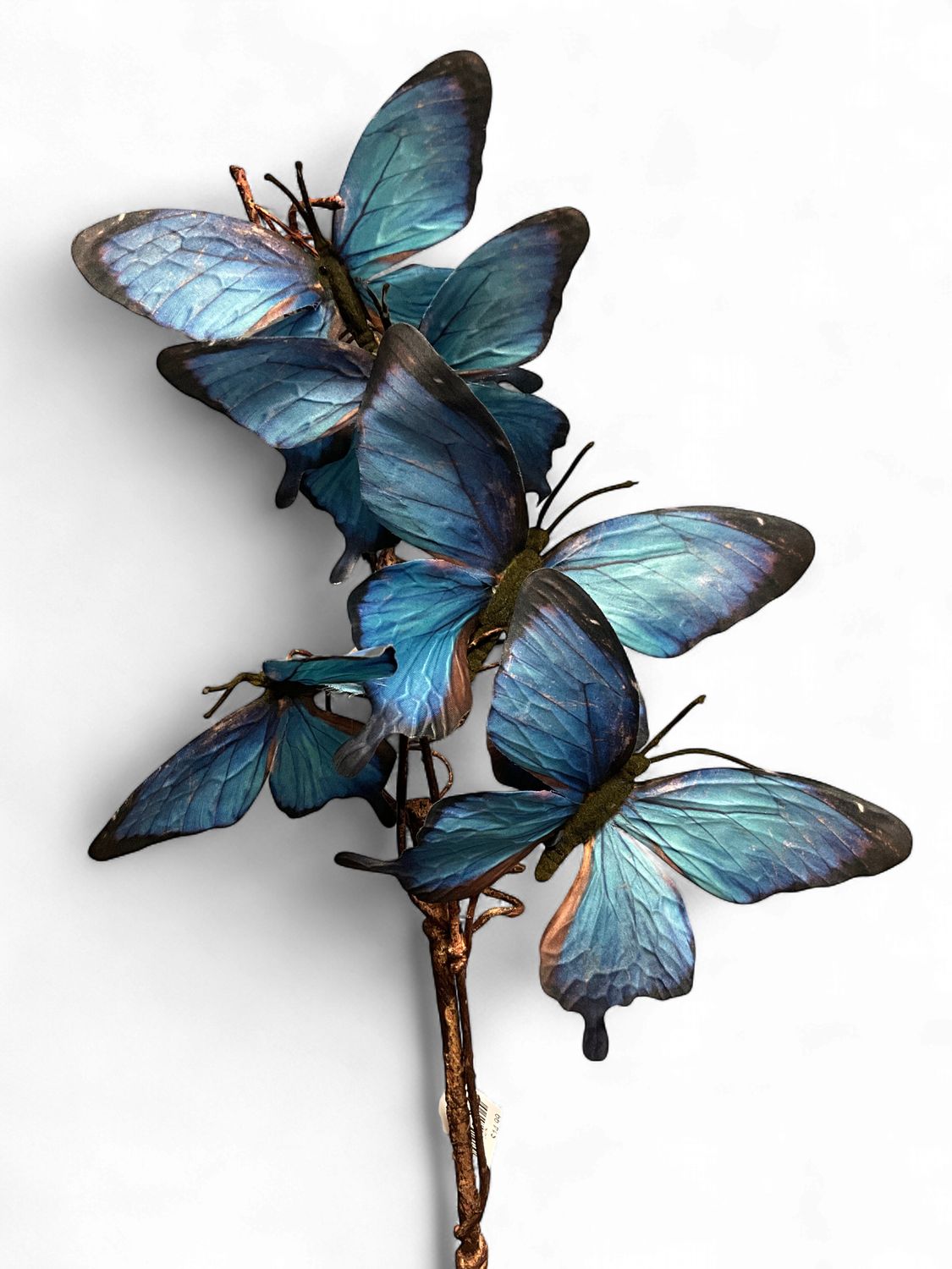 Butterfly  Blue Stems