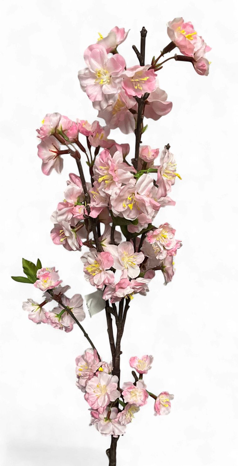 Apple Blossom Stem