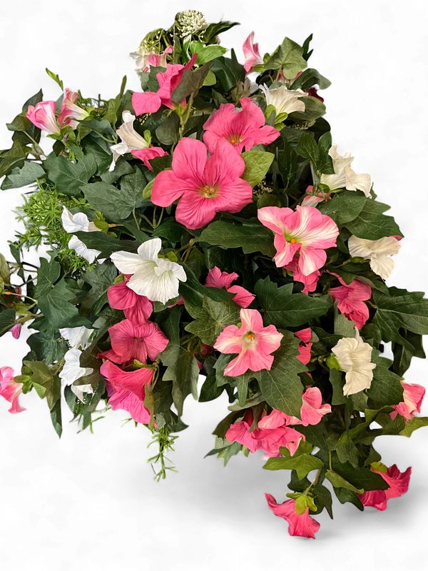 petunia two shaded bush UV