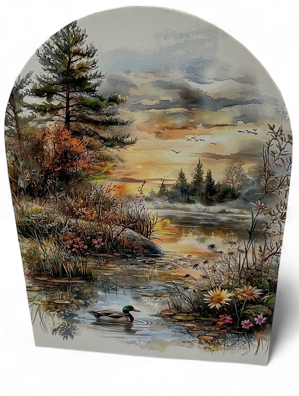 Mallard Duck swimming in water &amp; summer scene