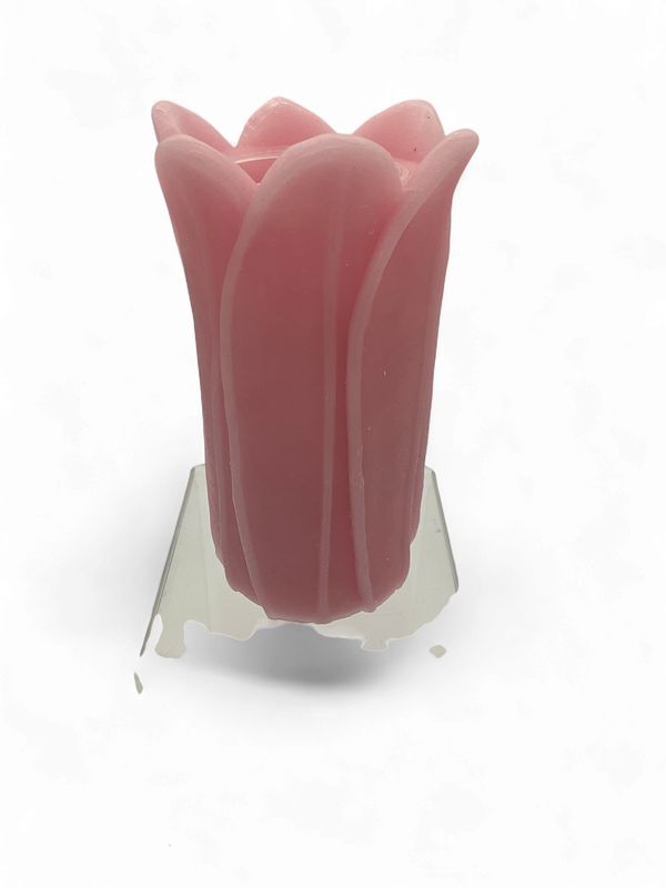 Tulip Shaped Fountain