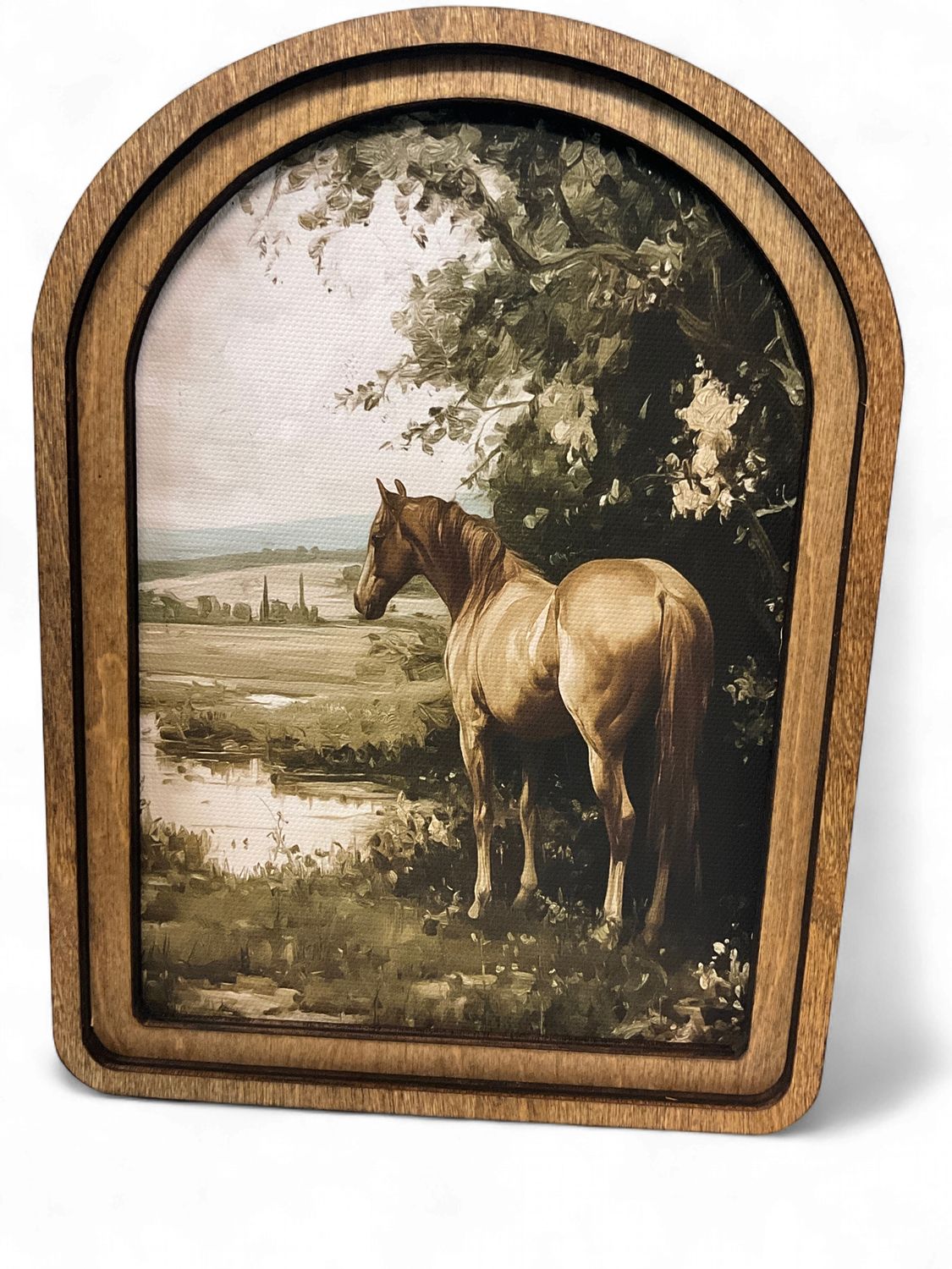 Stallion in the Field