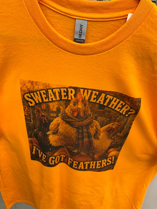 Sweater Weather, I Got Feathers Tshirt