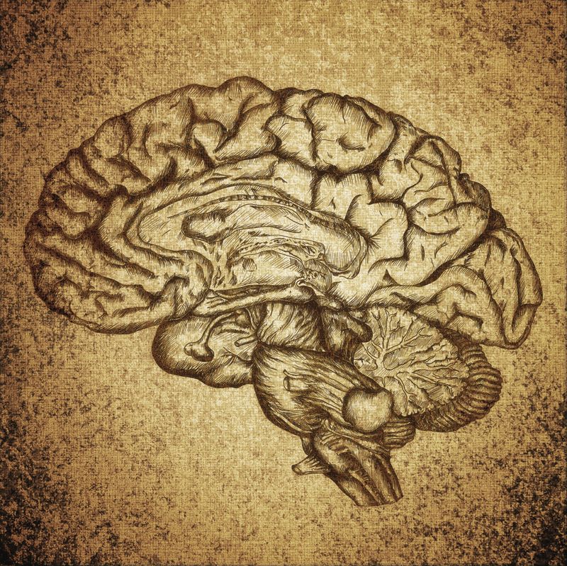 SATURDAY, NOVEMBER 1, 2025 - BEHAVIOR IS COMMUNICATION