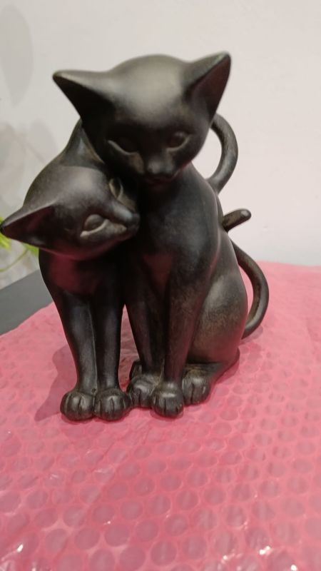 couple de chats noirs