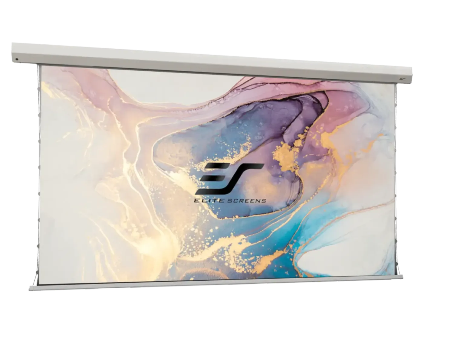 Elite Screens Daywalker 2 Motor Kontrast Heimkino Leinwand