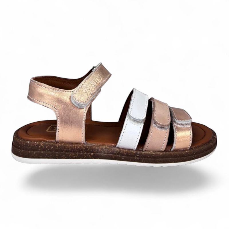 326135-996 Sophie Sun / Rose