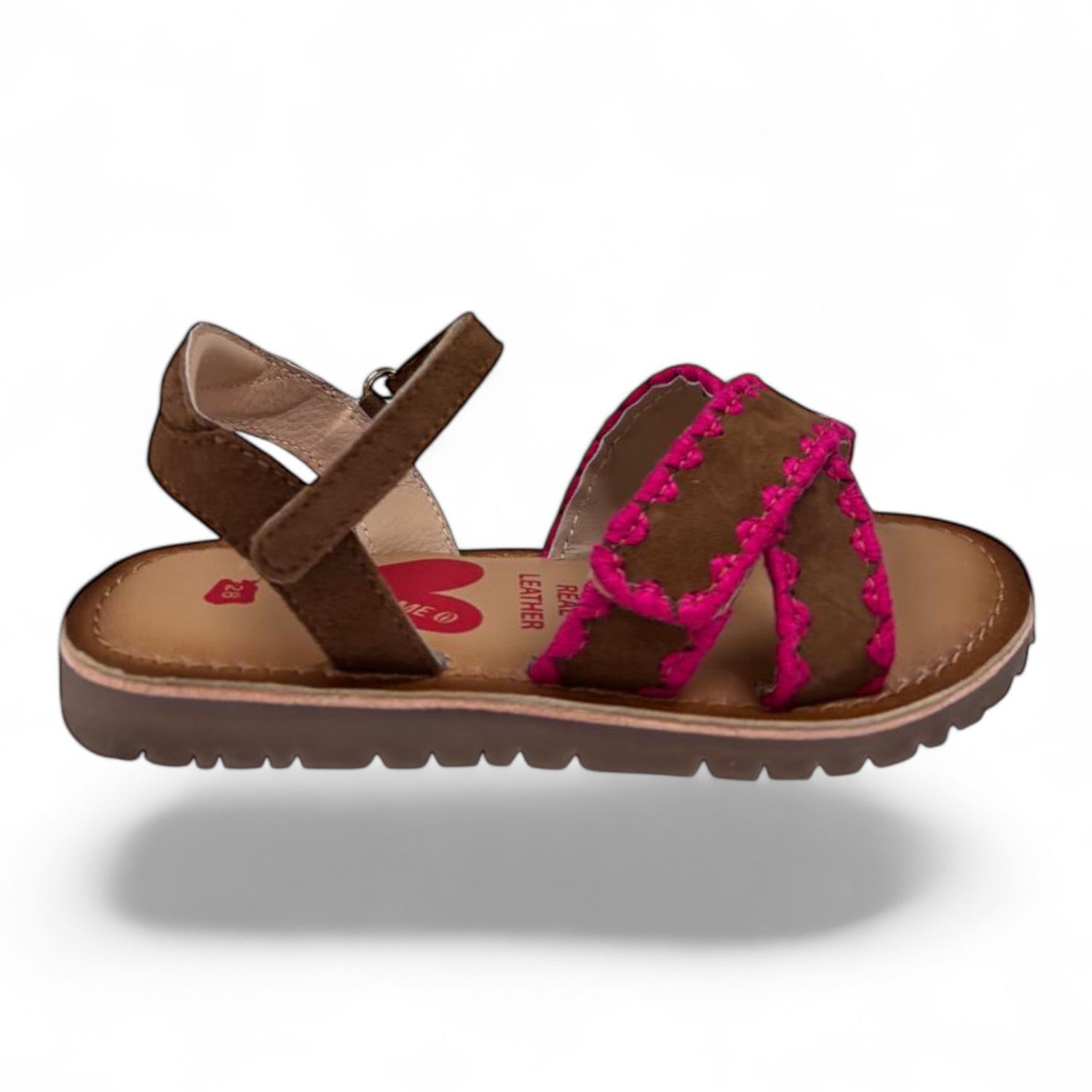 CA26S051-C BROWN FUCHSIA